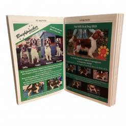 Year Book Advert - Small Ad - Quarter Page